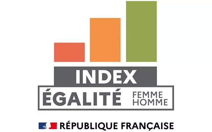 Professional equality index logo