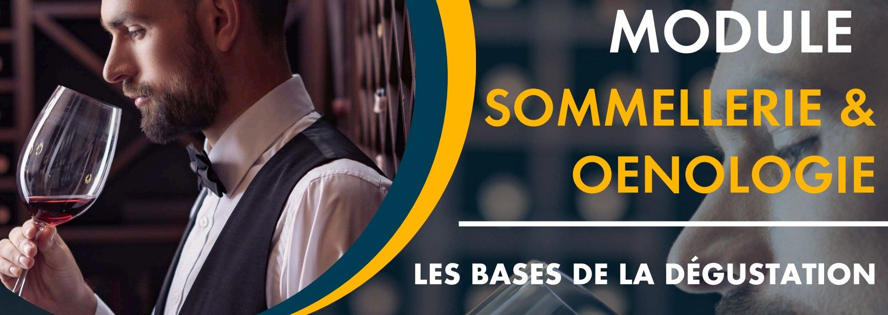 Les bases de la dégustation